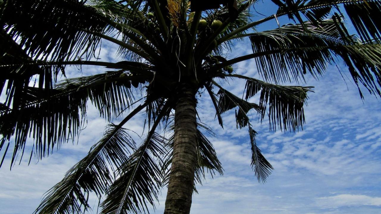 Dikaloha Surfschool And Stay Airsatang Exteriör bild