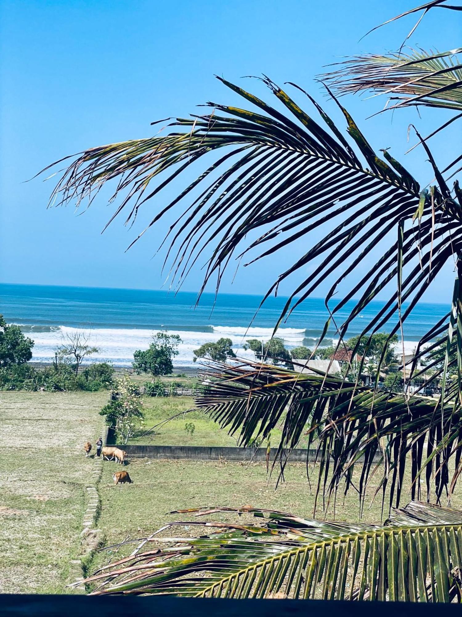 Dikaloha Surfschool And Stay Airsatang Exteriör bild